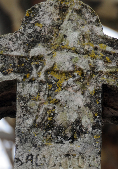 AgnelloCIVITANvalente