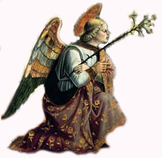 19) gerolamodigiovanni