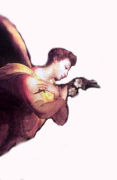 30) DomenicoBeccafumi1545