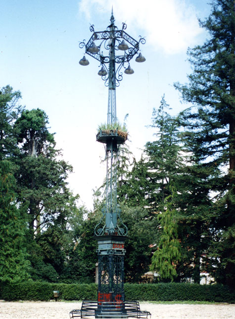 18) N.TucciLAMPIONE