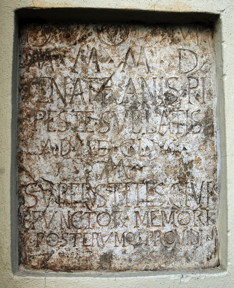 Peste1656