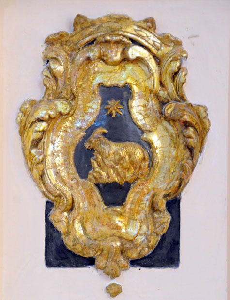 Capra cotta1