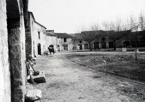 gruppo231