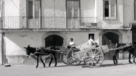 1972VENAFRO232 copia 3