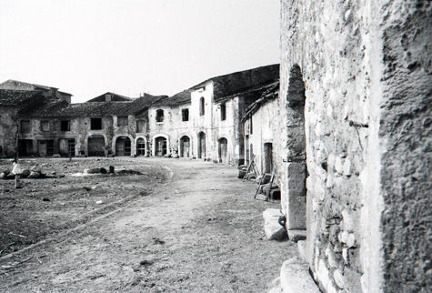gruppo224