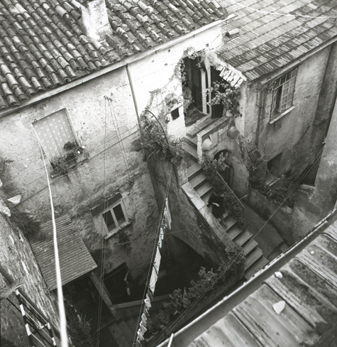 venafro538 copia 2