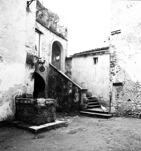 venafro540