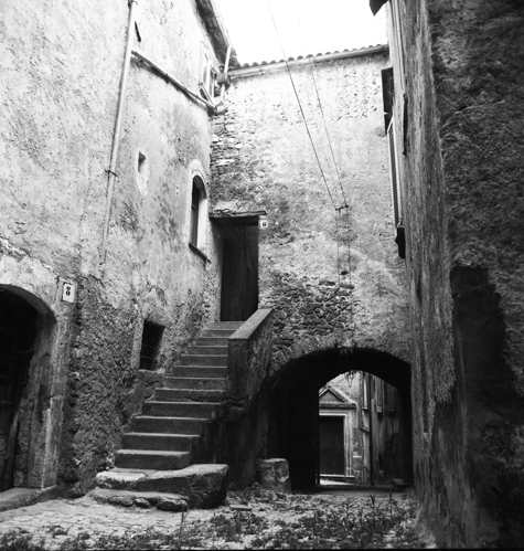 venafro544 copia