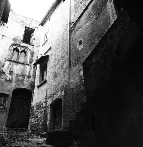 venafro544