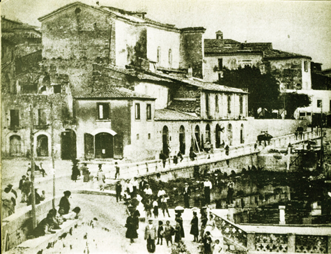 venafro606