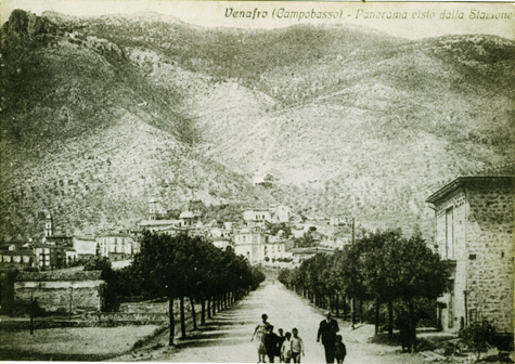 venafro609