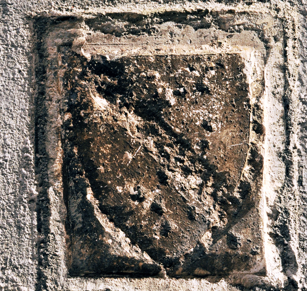 DSC_7648