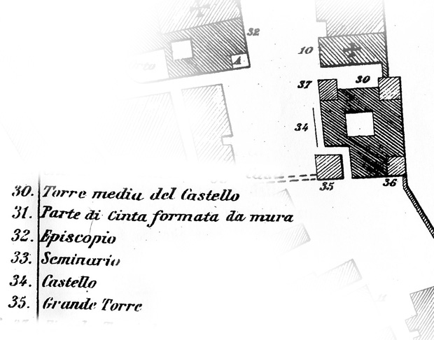 piantaMaglianoLarino copia