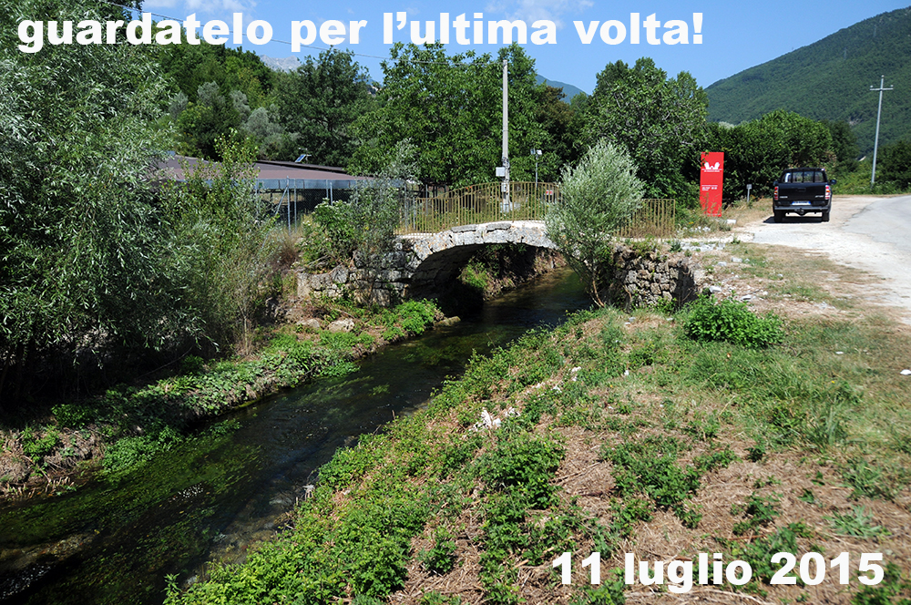 DSC_6876 copia