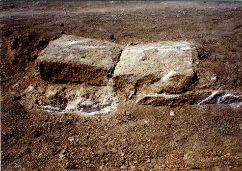 Gli scavi archeologici non finiscono mai (… ed anche i disastri)