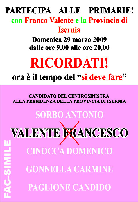 Partecipa alle primarie!