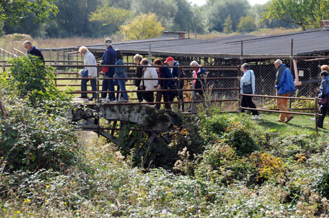 10 ottobre 881 – I saraceni distruggono S. Vincenzo. 10 ottobre 2010 – La Soprintendenza continua.