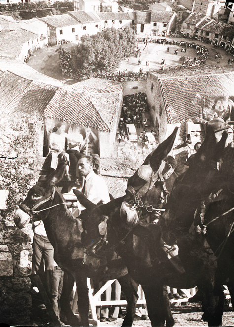 Venafro 1972. Quaranta anni fa la Corsa dei Ciucci
