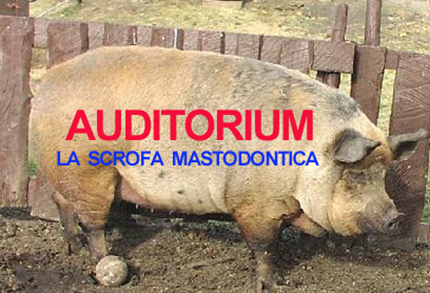 L’Auditorium di Isernia tra sporcizia e disordine casca a pezzi!