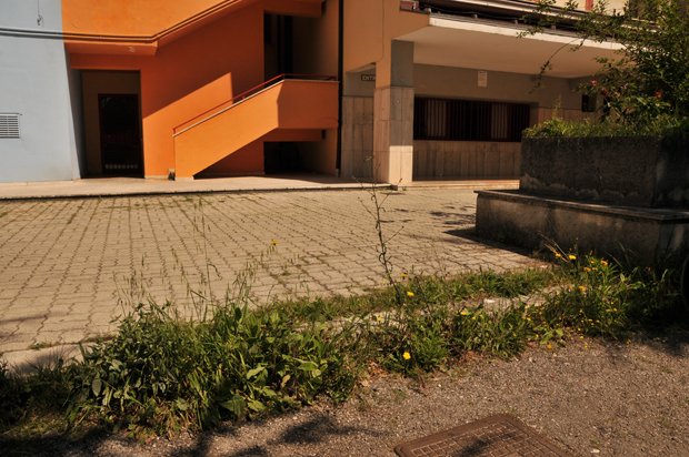 Amministratori della Provincia di Isernia. Quando saranno definitivamente a casa a Venafro nessuno se ne accorgerà.